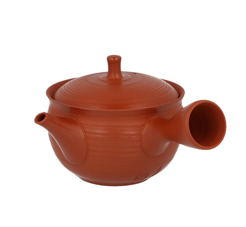 Tokoname Kyusu 10 - 230 ml