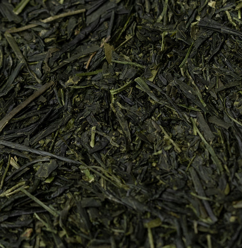 Shincha Zairai 2026
