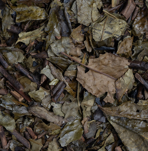 Smoky Kyobancha - Harimaen, Uji