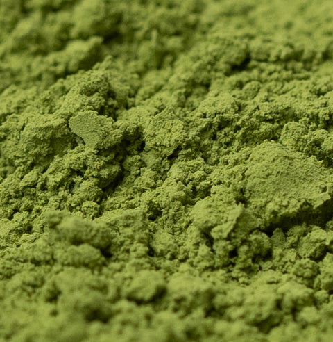 Organic Ceremonial Matcha - Shohokuen, Uji