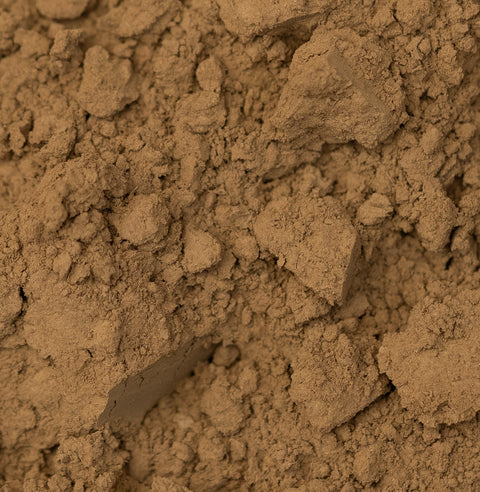 Premium Hōjicha Powder - Mori, Japan