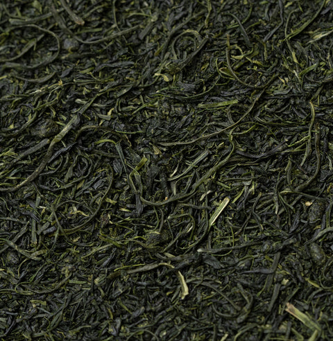Tamaryokucha Tsuyu - Forthees, Sonogi